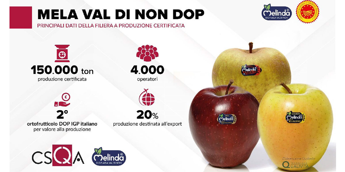 Mela Val di Non DOP, una mela su cinque all’estero